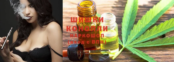 гашик Балахна