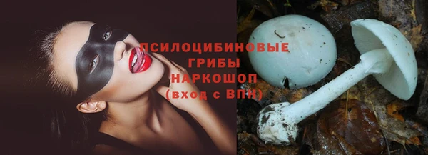 гашик Балахна