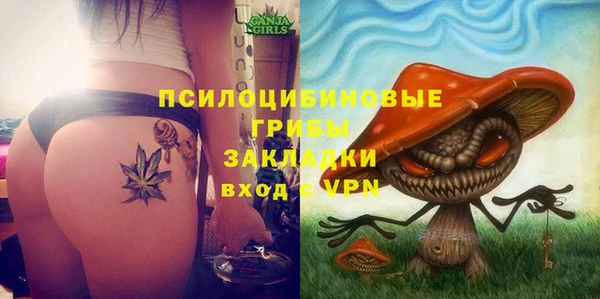 гашик Балахна