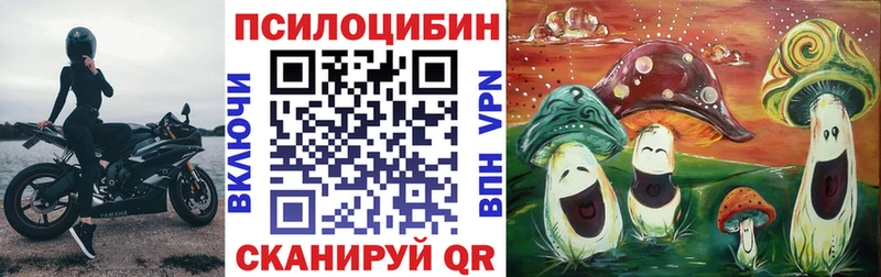Купить закладки  Дзержинский  Псилоцибиновые грибы мухоморы 